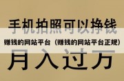 赚钱的网站平台（赚钱的网站平台正规）