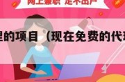 免费做代理的项目（现在免费的代理赚钱好项目）