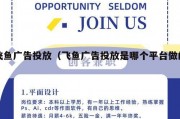 飞鱼广告投放（飞鱼广告投放是哪个平台做的）