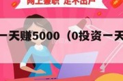 0投资一天赚5000（0投资一天赚300）