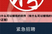 有什么可以赚钱的软件（有什么可以赚钱的软件正版）