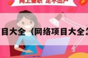 网络项目大全（网络项目大全怎么做）