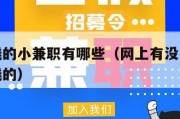网上赚钱的小兼职有哪些（网上有没有什么兼职赚小钱的）