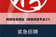 网络项目网站（网络项目平台17）