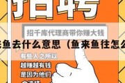 鱼来鱼去什么意思（鱼来鱼往怎么样）