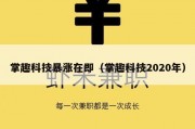 掌趣科技暴涨在即（掌趣科技2020年）