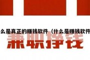 什么是真正的赚钱软件（什么是赚钱软件?）