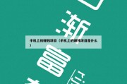 手机上的赚钱项目（手机上的赚钱项目是什么）