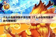 个人小白如何做手游代理（个人小白如何做手游代理赚钱）