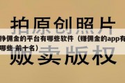 挣佣金的平台有哪些软件（赚佣金的app有哪些 前十名）