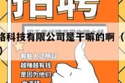 手赚网络科技有限公司是干嘛的啊（手赚网app下载）