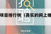 网上赚钱项目排行榜（真实的网上赚钱项目排行）