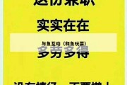 与鱼互动（和鱼玩耍）