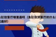 鱼缸放客厅哪里最旺（鱼缸放到客厅的什么位置最好）