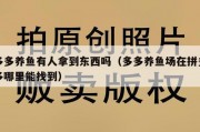 多多养鱼有人拿到东西吗（多多养鱼场在拼多多哪里能找到）