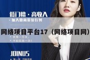 网络项目平台17（网络项目网）