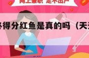 天天养鱼必得分红鱼是真的吗（天天养鱼赚钱）