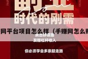 手赚网平台项目怎么样（手赚网怎么赚钱）