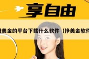 赚美金的平台下载什么软件（挣美金软件）