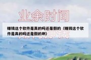 赚钱这个软件是真的吗还是假的（赚钱这个软件是真的吗还是假的啊）