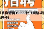 网络项目资源网10000种（网络项目平台app排行榜）