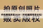 手机赚钱项目2020（手机赚钱项目论坛）
