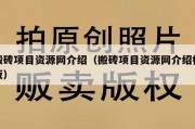 搬砖项目资源网介绍（搬砖项目资源网介绍模板）