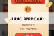 项目推广（项目推广方案）