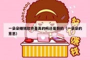 一朵朵赚钱软件是真的吗还是假的（一朵朵的意思）