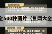 鱼网大全500种图片（鱼网大全及价钱）