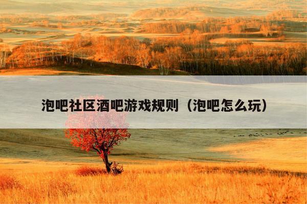 泡吧社区酒吧游戏规则（泡吧怎么玩）