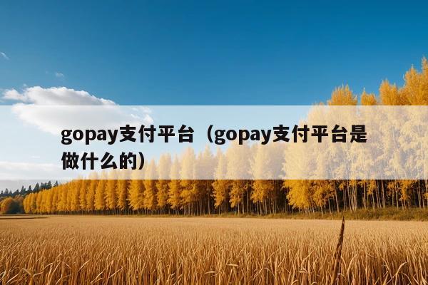gopay支付平台（gopay支付平台是做什么的）