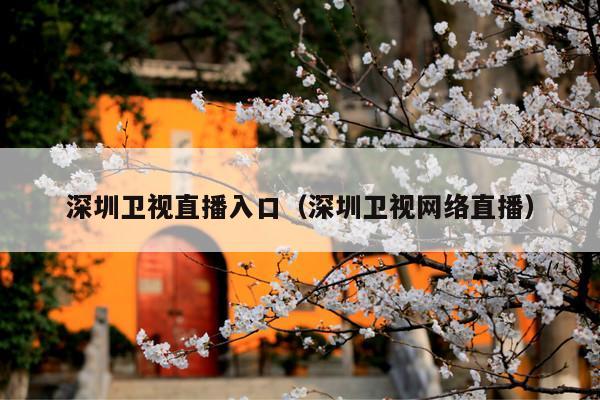 深圳卫视直播入口(深圳卫视网络直播)