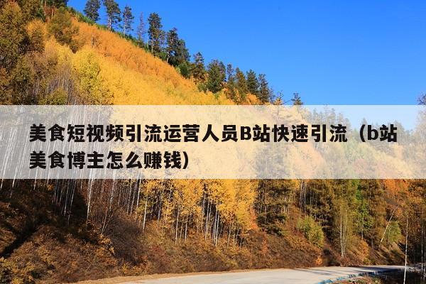 美食短视频引流运营人员B站快速引流（b站美食博主怎么赚钱）