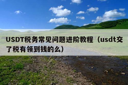 USDT税务常见问题进阶教程(usdt交了税有领到钱的么)