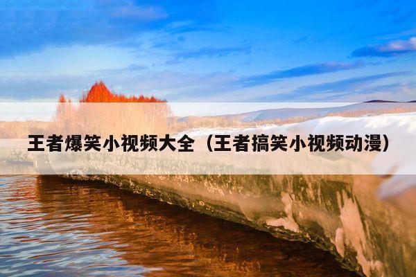 王者爆笑小视频大全(王者搞笑小视频动漫)