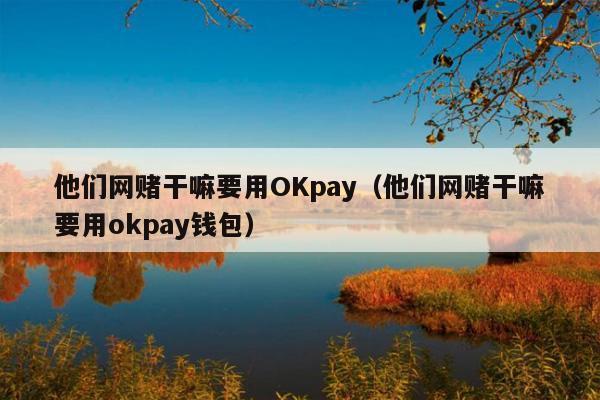 他们网赌干嘛要用OKpay(他们网赌干嘛要用okpay钱包)