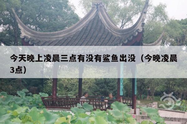 今天晚上凌晨三点有没有鲨鱼出没（今晚凌晨3点）