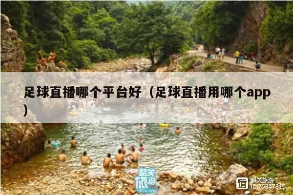 足球直播哪个平台好（足球直播用哪个app）