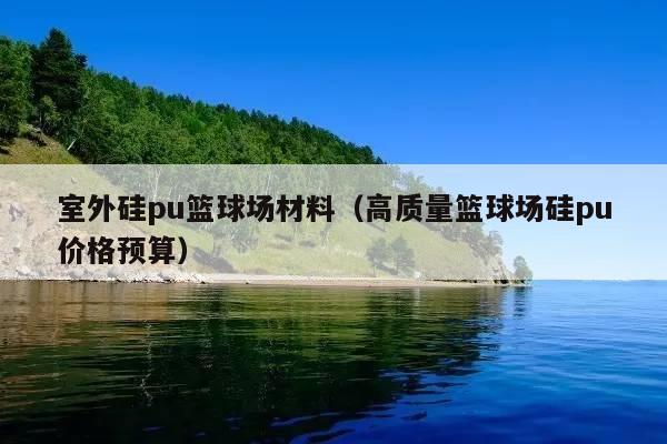 室外硅pu篮球场材料(高质量篮球场硅pu价格预算)