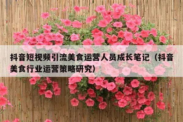 抖音短视频引流美食运营人员成长笔记(抖音美食行业运营策略研究)