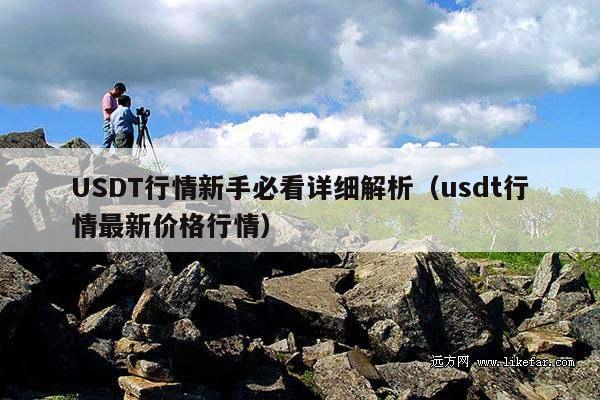 USDT行情新手必看详细解析(usdt行情最新价格行情)