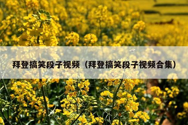 拜登搞笑段子视频(拜登搞笑段子视频合集)