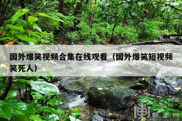 国外爆笑视频合集在线观看(国外爆笑短视频笑死人)