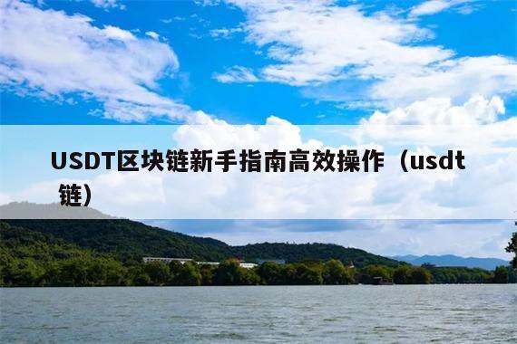 USDT区块链新手指南高效操作(usdt 链)