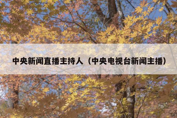 中央新闻直播主持人(中央电视台新闻主播)