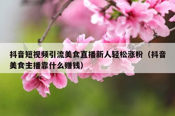抖音短视频引流美食直播新人轻松涨粉(抖音美食主播靠什么赚钱)