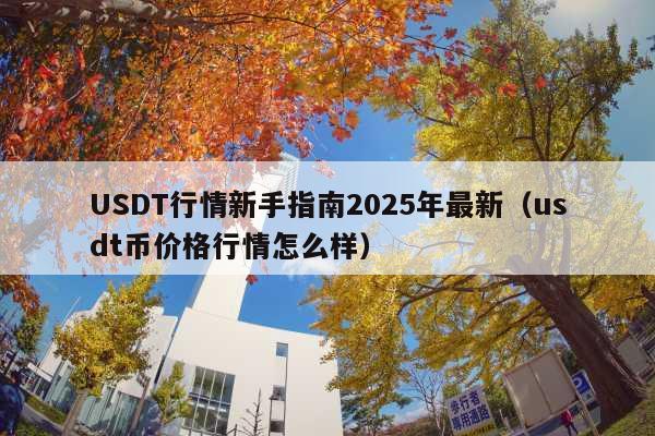 USDT行情新手指南2025年最新(usdt币价格行情怎么样)