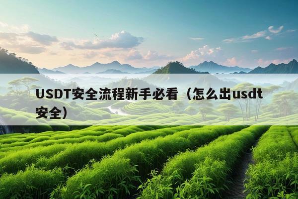 USDT安全流程新手必看(怎么出usdt安全)