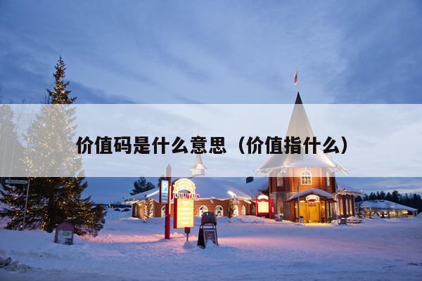 价值码是什么意思(价值指什么)